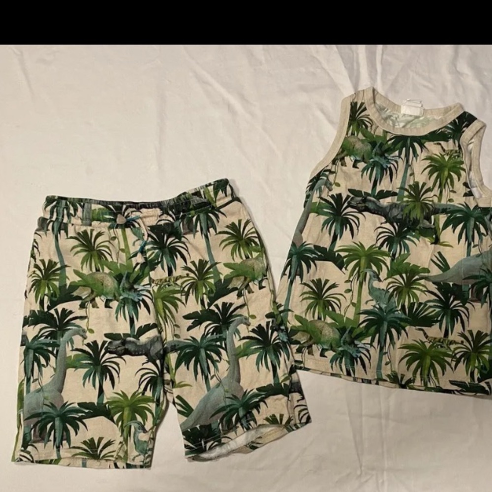 Boys Dinosaur outfit size 8 Shirt And Shorts With Pockets And Drawstring